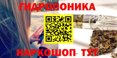 spice Гусев