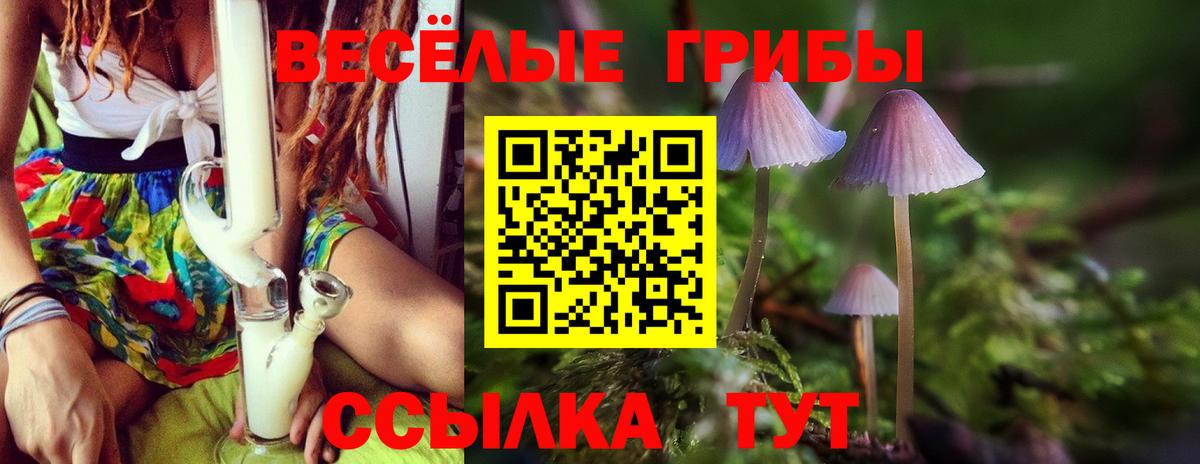 Псилоцибиновые грибы Magic Shrooms  Вход с VPN  Междуреченск  Псилоцибиновые грибы MAGIC MUSHROOMS 